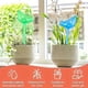 thumbnail image 4 of Maceta de riego automático con forma de pájaro, transparente, con púas de riego para plantas de interior y exterior., 4 of 8