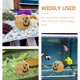 thumbnail image 3 of unbranded Refugio Para Reptiles En De Calabaza Beige Para Terrario Y Mascotas, 3 of 6