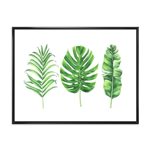 Designart 'Close Up Of Tropical Leaf Of Monstera IV' Farmhouse Framed Canvas Wall Art Print
