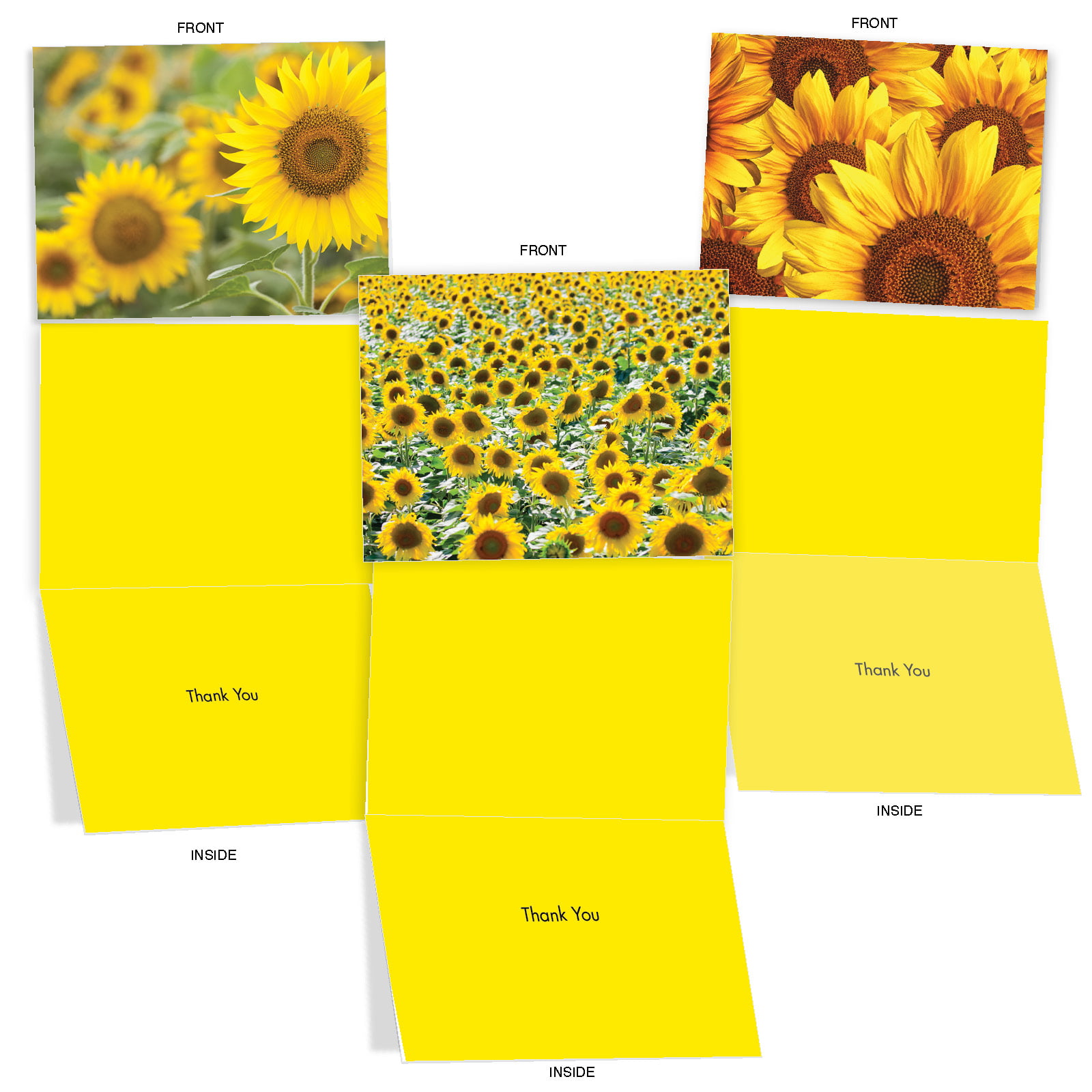SUNNY SIDE UP M6065 10  Thank You Cards Assortment 