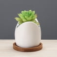 thumbnail image 3 of Stylish Cartoon Cactus Ceramic Planter for Modern Patio and Garden Personality, 3 of 4