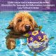thumbnail image 5 of Balón de fútbol para perros QDAN duradero para razas pequeñas y medianas, 5 of 6