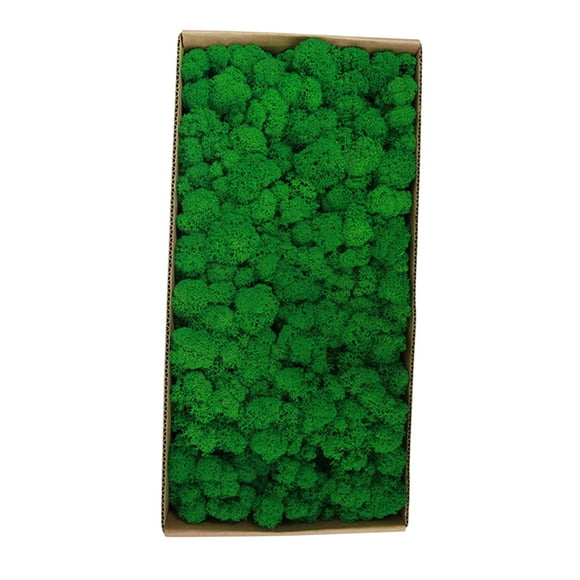 Preserved Moss Wall Decor Real Preserved Moss No Maintenance Required Naturally Preserved Moss for Home Wall Party Festivals Crafts Xmas Indoor Office Decoration