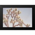 thumbnail image 2 of Urquhart, Elizabeth 14x11 Black Modern Framed Museum Art Print Titled - Desert Floral I, 2 of 5