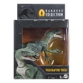 thumbnail image 4 of Dinosaurio de Juguete MATTEL Jurassic World Hammond Collection Velociraptor Delta, 4 of 4