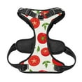 thumbnail image 5 of Picia Fresh Red Tomato No-Pull Dog Harness Reflective Front Clip Vest with Handle,Step-in Air Dog Harness,Adjustable 2 Metal Rings 4 Buckles,Easy to Put on & Take Off X-Large, 5 of 9