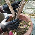 thumbnail image 4 of 10 pares de guantes de jardinería de alta calidad, guantes de goma de plástico ABS para jardín con garras, fáciles de cavar y plantar, 4 of 5