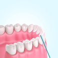 thumbnail image 4 of Cepillos interdentales Cowwell, 60 piezas, blancos, palillos dentales, 4 of 7