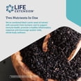 thumbnail image 3 of Aceite de semillas de comino negro Supplement Life Extension y curcumina El, 3 of 5