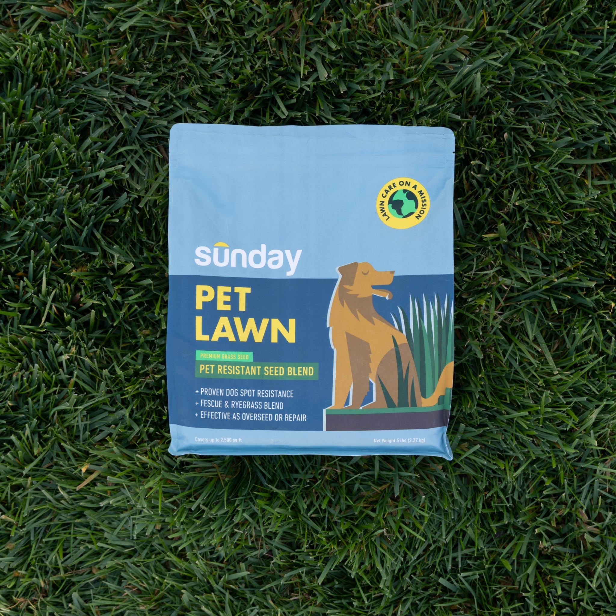 Sunday Pet Lawn Premium Urine-Resistant Pet-Safe Grass Seed, 5 lb Bag, Sun & Shade