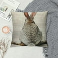 thumbnail image 2 of Grey Rabbit Pillowcase Cute Wild Animal Rabbit Bunny Easter Zippered Pillow Cover Decorative Throw Pillow Cover  Throw Pillow Cushion Cover for Home Couch Bed, 2 of 5