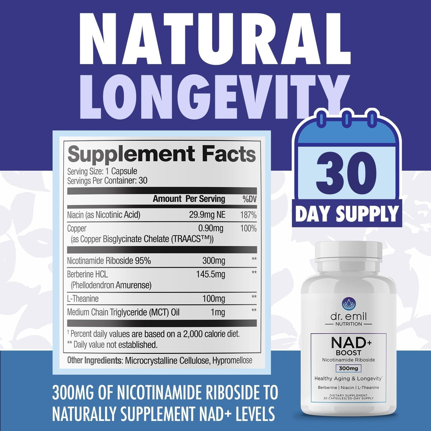 DR. EMIL NUTRITION NAD + Boost, NAD supplement, 30 Servings, 2 Pack