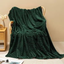 Soft Thick Fleece Blanket | 100x150cm Green Polyester Throw | Cozy Nap Blanket for Bed, Sofa & Lounging | Ultra-Plush & Warm for Winter