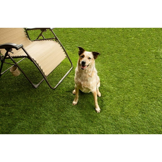 Flooring Inc Del Mar Turf Rolls 6 5 X10 Artificial Grass Pet