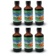 Germa Arnica Tincture. Topical Analgesic. For Joint Pain, Body Aches and Counterirritant for Bruises. Helps You Maintain a Healthy Skin. 1.7 oz. Pack of 6