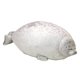 thumbnail image 1 of Muñeco de peluche suave con forma de foca del océano de ZTGD, juguete para silla, sofá, decoración, 1 of 7