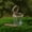 A, variant on Insect Observation Container, Portable Bug Catcher Kit with Tweezers for Nature Exploration and Science Learning,3.15IN