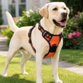 thumbnail image 7 of No Pull Dog Harness for Large Dogs, Adjustable Reflective Red Mesh Dog Vest Harness with Front D Ring for Walking Hiking Training, 1 Pack, 7 of 7