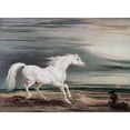 thumbnail image 3 of Ward, James 14x11 Black Modern Framed Museum Art Print Titled - Marengo Barb Charger, 3 of 5