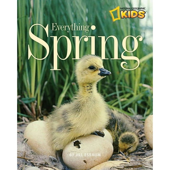 Picture the Seasons Everything Spring, (Paperback)