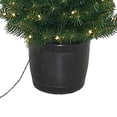 thumbnail image 4 of 5-Foot Pre-Lit Potted Tree with 100-Light Warm White LED Bulbs, 4 of 4