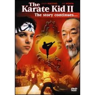 洋画・外国映画 GREAT JOURNEY OF KARATE 3 DVD Sony Pictures Entertainment, The Karate Kid Part III DVD, PG