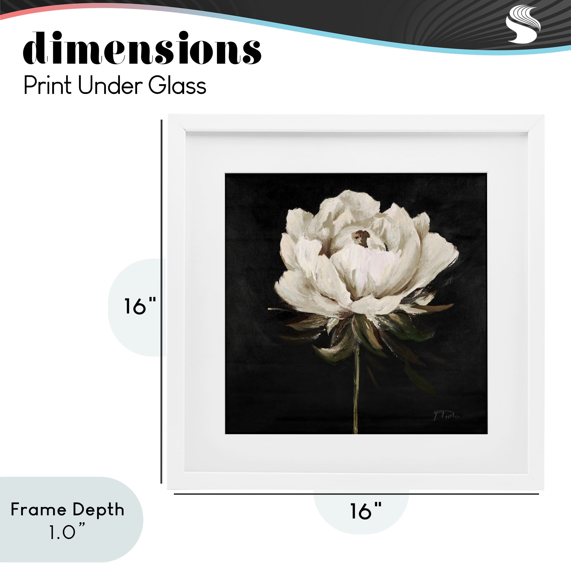 Stupell Industries Pretty Delicate Bloom on Black White Framed Print Under Glass, design by Patricia Pinto