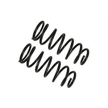 Rear Coil Spring Set - Compatible with 2003 - 2024 Toyota 4Runner 2004 2005 2006 2007 2008 2009 2010 2011 2012 2013 2014 2015 2016 2017 2018 2019 2020 2021 2022 2023