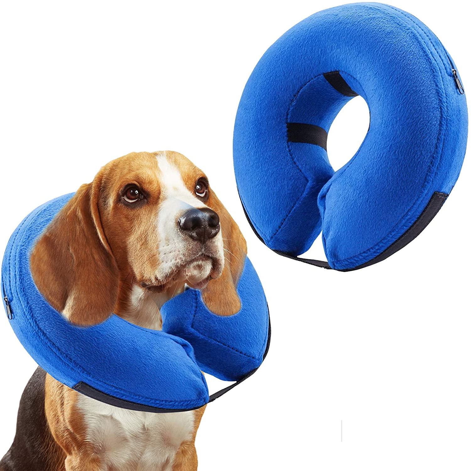 Can My Dog Sleep With A Cone