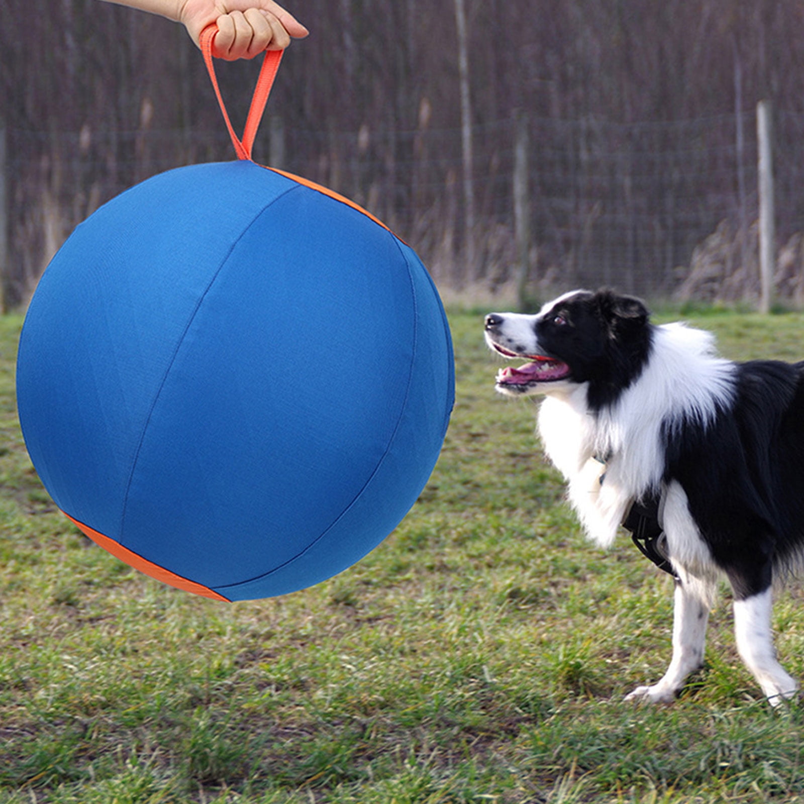 Dog Play Sphere Interactive Toy with Handle for Dogs Encouraging Exercise and Outdoor Games Fun Bouncy Toy