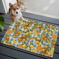 thumbnail image 3 of Orange Lemons Entryway Rug 2'x3'&nbsp; Non Slip Front Door Mats, Summer Botanical Checkered Farmhouse Entrance Rugs Indoor Outdoor Carpet, Washable Floor Mats Small Area Rug for Bedroom Kitchen, 3 of 8