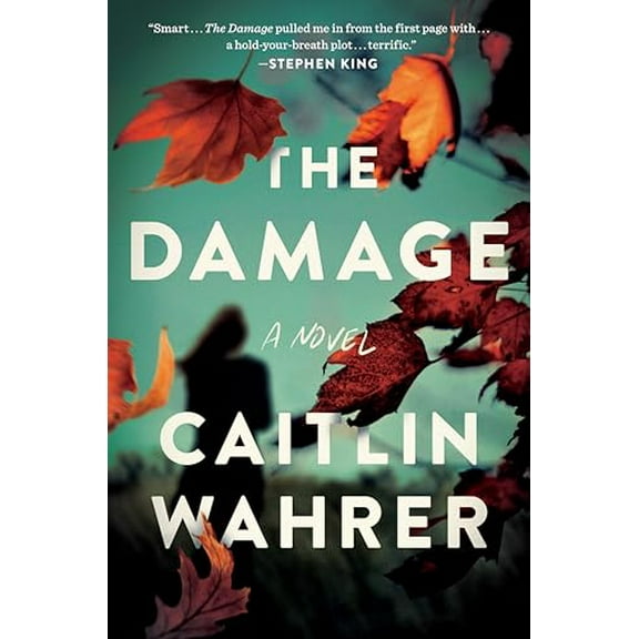 Pre-Owned The Damage (Hardcover) 0593296133 9780593296134