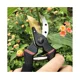 thumbnail image 2 of Tijeras de podar de primera calidad para un corte preciso, ideales para setos y poda de plantas Tijeras de podar de derivación de titanio, 2 of 4
