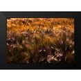 thumbnail image 2 of Johnson, George 18x13 Black Modern Framed Museum Art Print Titled - Golden Grain, 2 of 5
