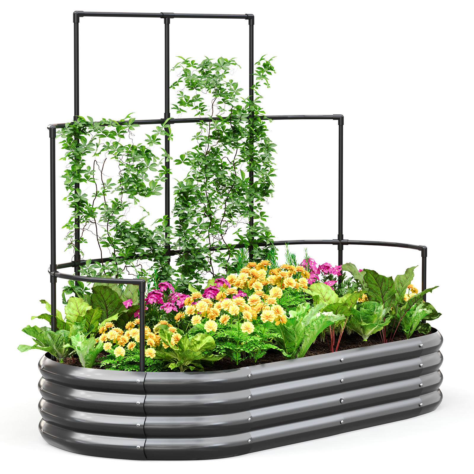 KING BIRD 6x3x1 ft Raised Garden Bed with Wall Trellis Galvanized Steel Metal Planter Garden Box Outdoor for Gardening Climbing Vegetables Flowers Dark Gray