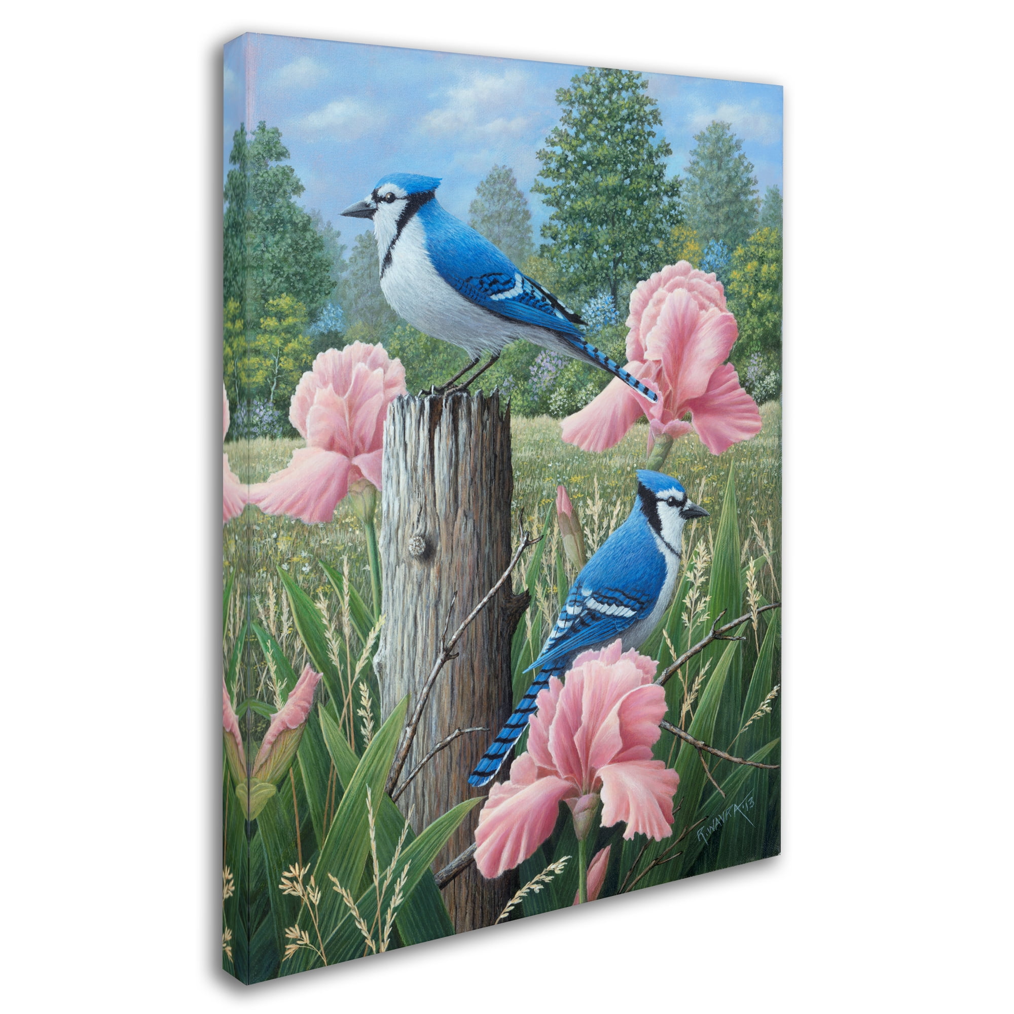 Trademark Fine Art 'Blue Jays' Canvas Art by Robert Wavra