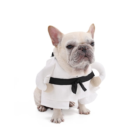Halloween Dog Costumes Funny Arts-Inspired Clothes Small Dog Costumes for Cosplay Photoshoot Birthday Party Wear Christmas Pet Clothing