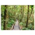 thumbnail image 2 of Walk Way in Deep Forest - Impression sur Toile Paysage, 2 of 3