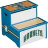 Guidecraft NBA - Hornets Storage Step-Up