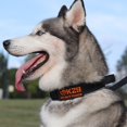 thumbnail image 4 of CIYISON Adjustable Dog Collar For Night Safety Soft Padded Nylon Pet Training Collar Reflective with Handle, 4 of 20