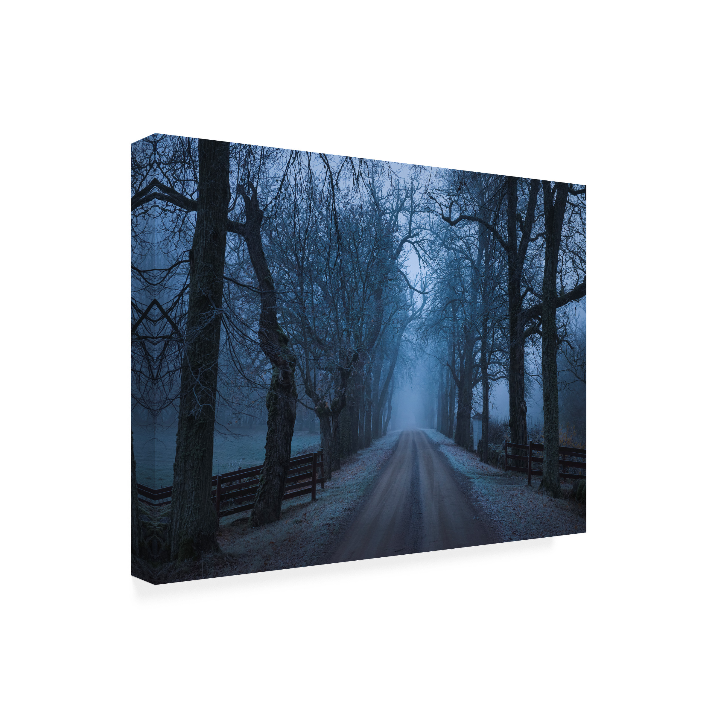 Christian Lindsten 'Sleepy Hollow' Canvas Art