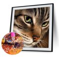 thumbnail image 1 of Cuadros Decorativos 5D Diamond Painting DIY Wolf Pictures Kit Full Drill Art Home Decor (B2387) DQrwqpou Nuevos Originales, 1 of 9