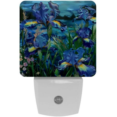

2-Pin Plug into Wall [2 Pack] Irises Floral at Night Decorative Night Light with Auto Dusk to Dawn Sensor Square LED 0.5W Plastic Night Light