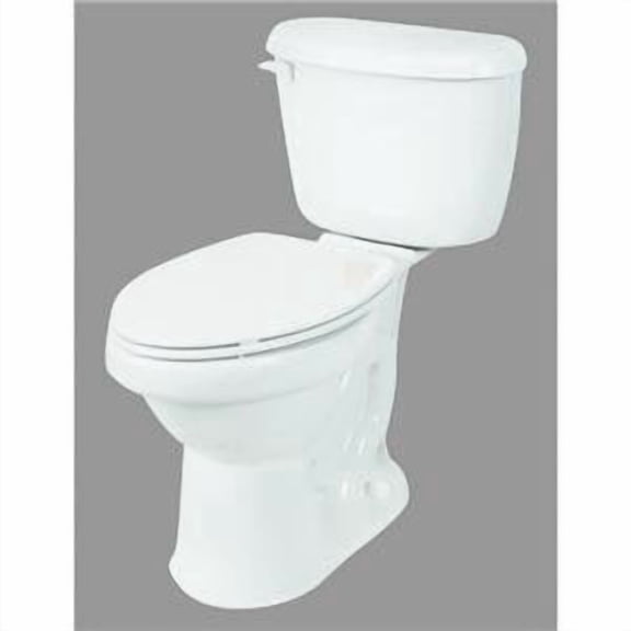 Briggs 7008-130 Abingdon Ada Toilet Express