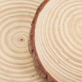 thumbnail image 2 of EIGTHTAIL 2 Pcs Pierres de Marche Rondes en Bûche pour Jardin et Sentier Extérieur, 2 of 6