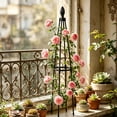thumbnail image 6 of JHyouerji Vine Plant Trellis for Climbing Plants,Black DIY Adjustable Height Planting Basket Support Frame for Outdoor Indoor Vines Vegetable Fruits Flowers, 6 of 6