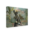 thumbnail image 2 of Trademark Fine Art 'Pelican Paradise II' Canvas Art by Steve Hunziker, 2 of 3
