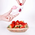 thumbnail image 4 of Paquete de chupetes de alimentación de frutas para bebés: alimentador de alimentos frescos, juguetes de goma para la dentición de frutas para bebés para niños pequeños, niños y bebés de 4 a 24 meses Zhivalor 222068-2, 4 of 4