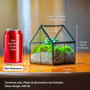 NCYP Mini House-Shaped Glass Terrarium with Lid, 4.25 Small Lidded Plant Terrarium for Moss, Tiny Plants, Low-Growing Sundew Plants and Tabletop Décor (Terrarium Only)