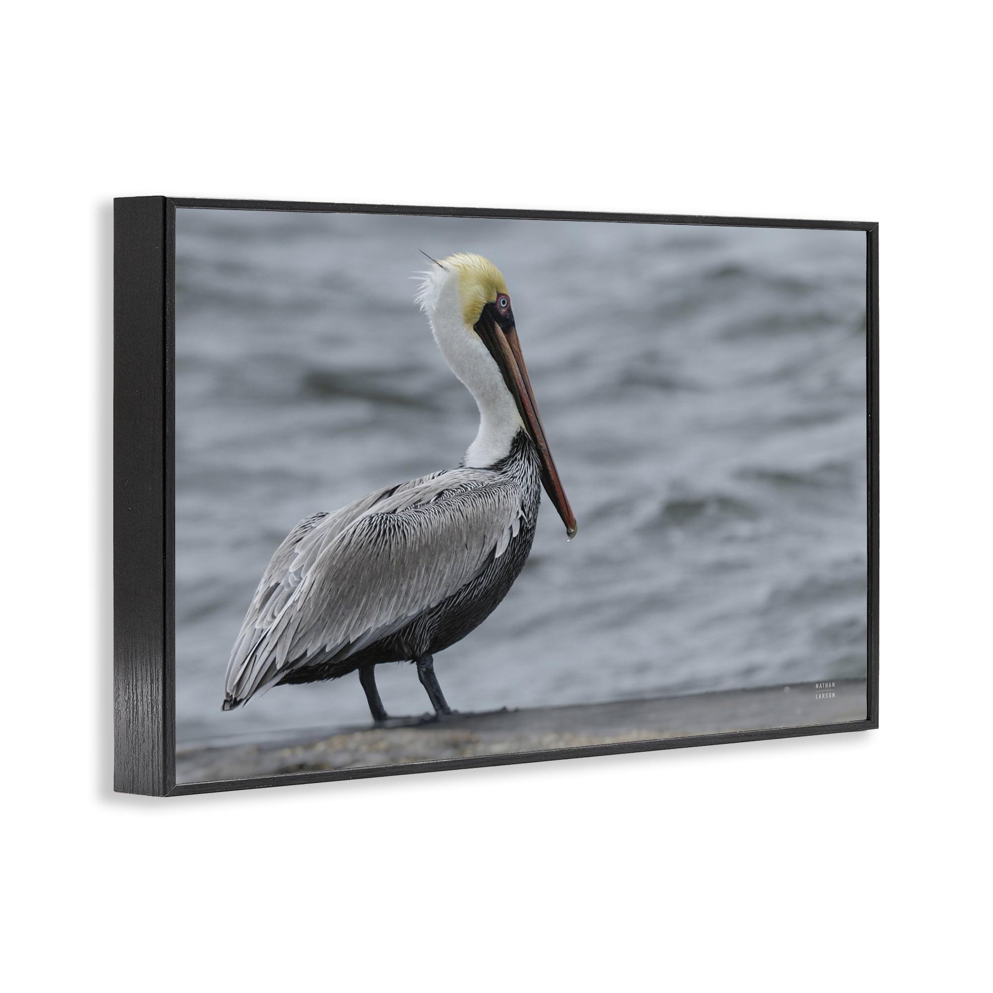 Stupell Industries Pelican Watch Photography Black Framed Giclee Art, design by Nathan Larson